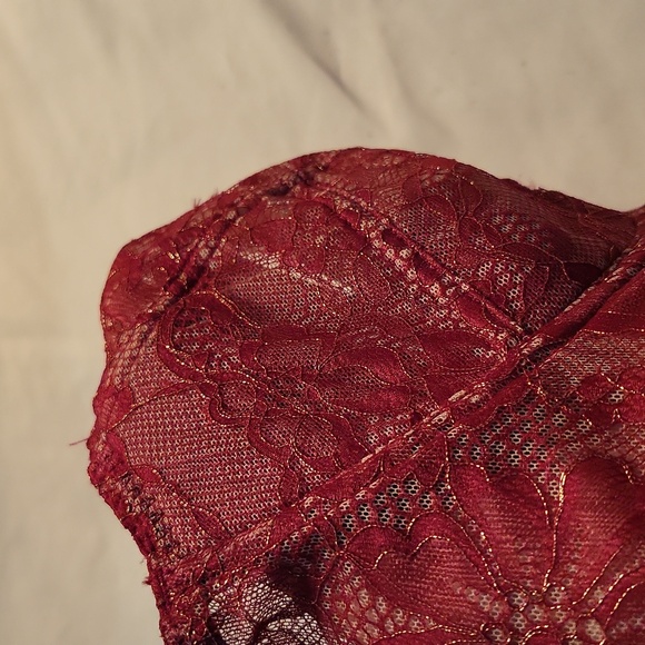 36 C Sofia Intimates minimizer underwire bra NWT - Picture 3 of 9